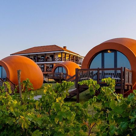 Hotel Qvevrebi Telavi Dış mekan fotoğraf
