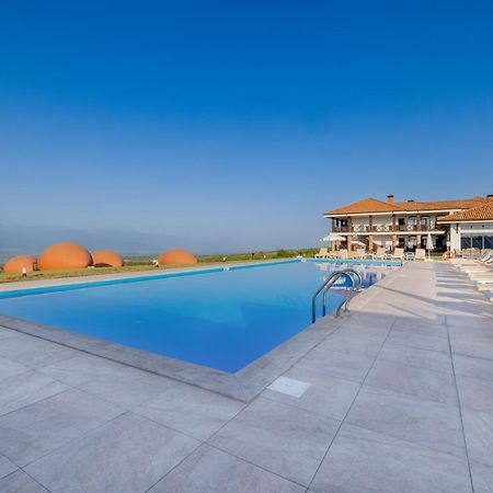 Hotel Qvevrebi Telavi Dış mekan fotoğraf