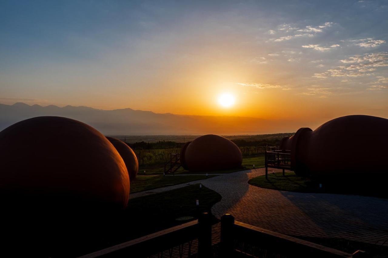 Hotel Qvevrebi Telavi Dış mekan fotoğraf