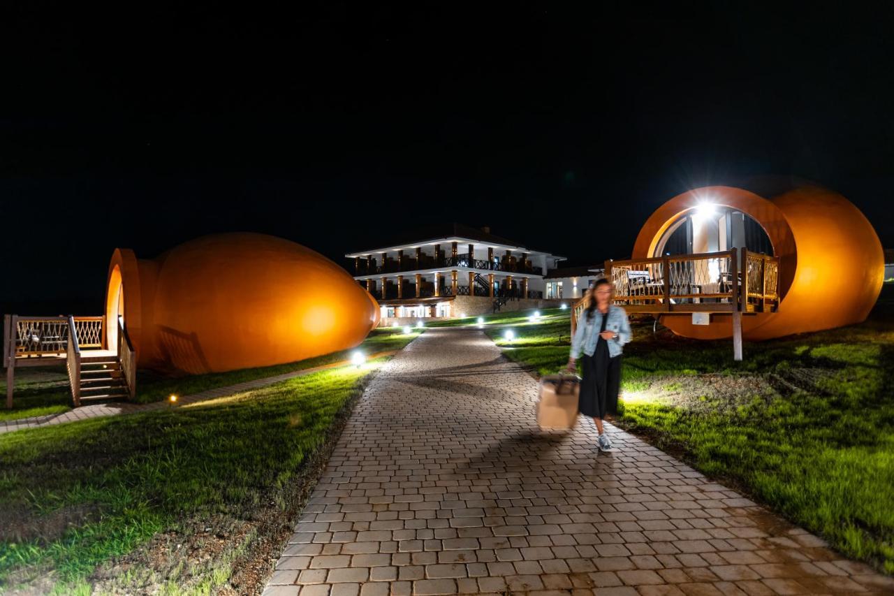 Hotel Qvevrebi Telavi Dış mekan fotoğraf