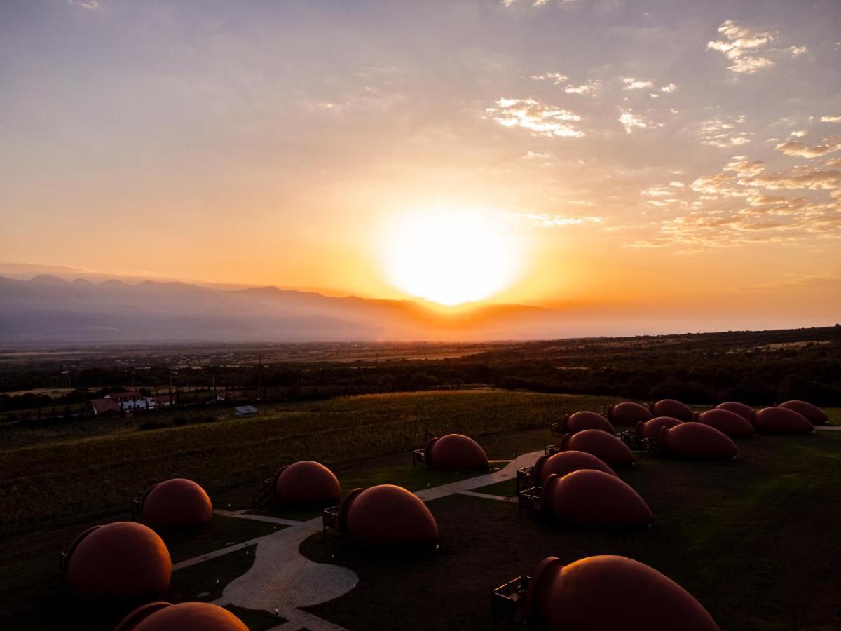 Hotel Qvevrebi Telavi Dış mekan fotoğraf