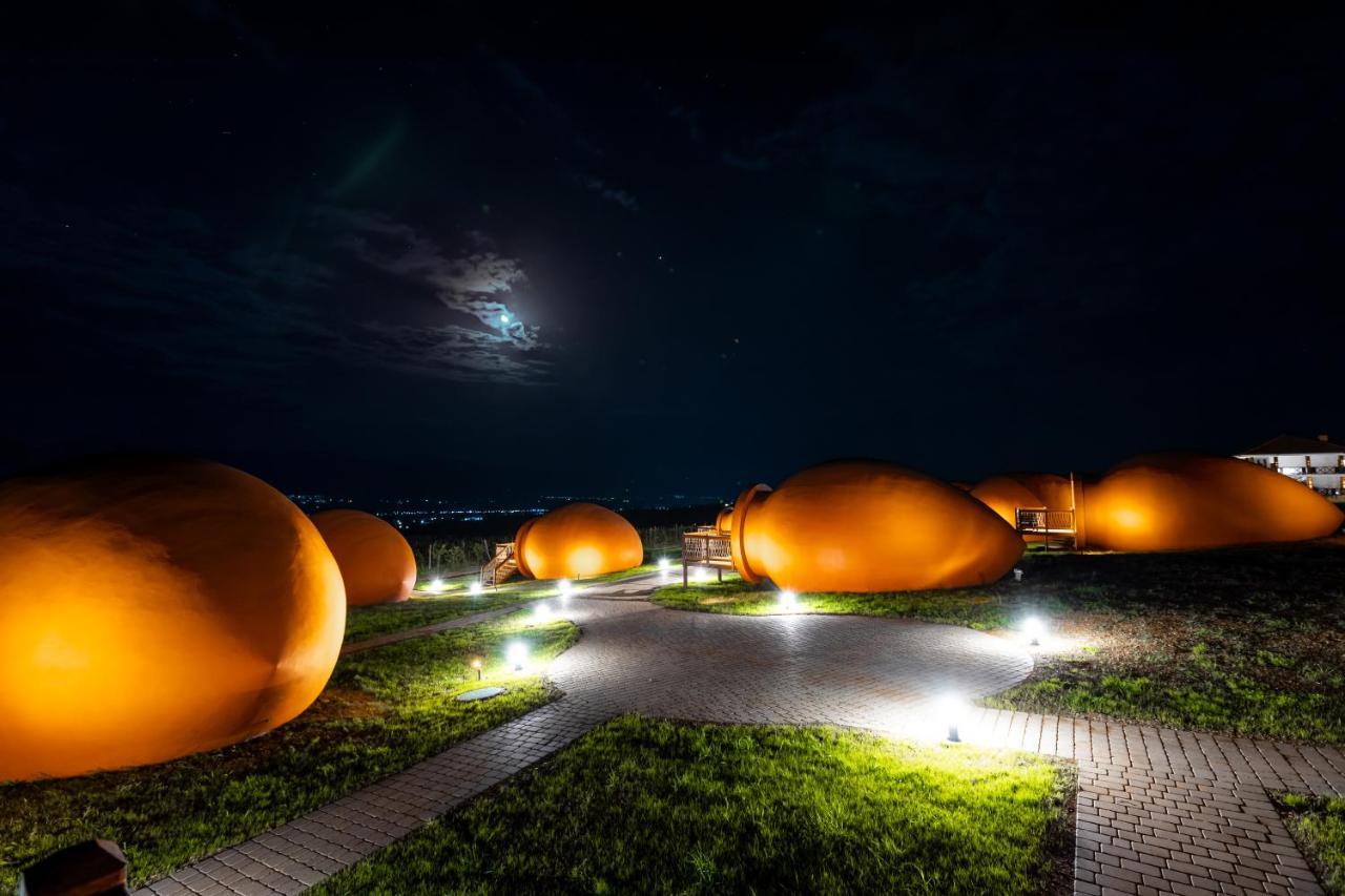 Hotel Qvevrebi Telavi Dış mekan fotoğraf