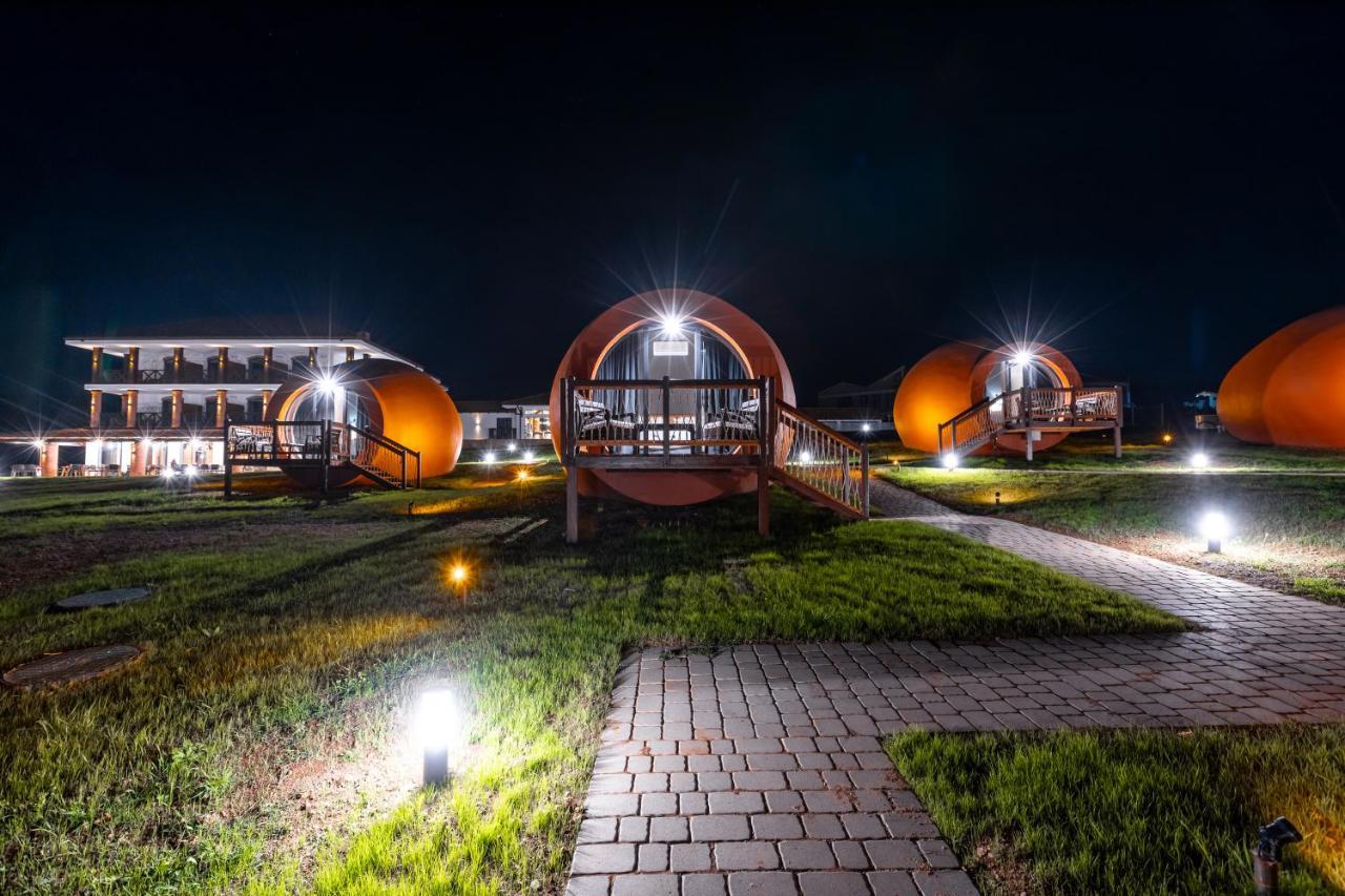 Hotel Qvevrebi Telavi Dış mekan fotoğraf