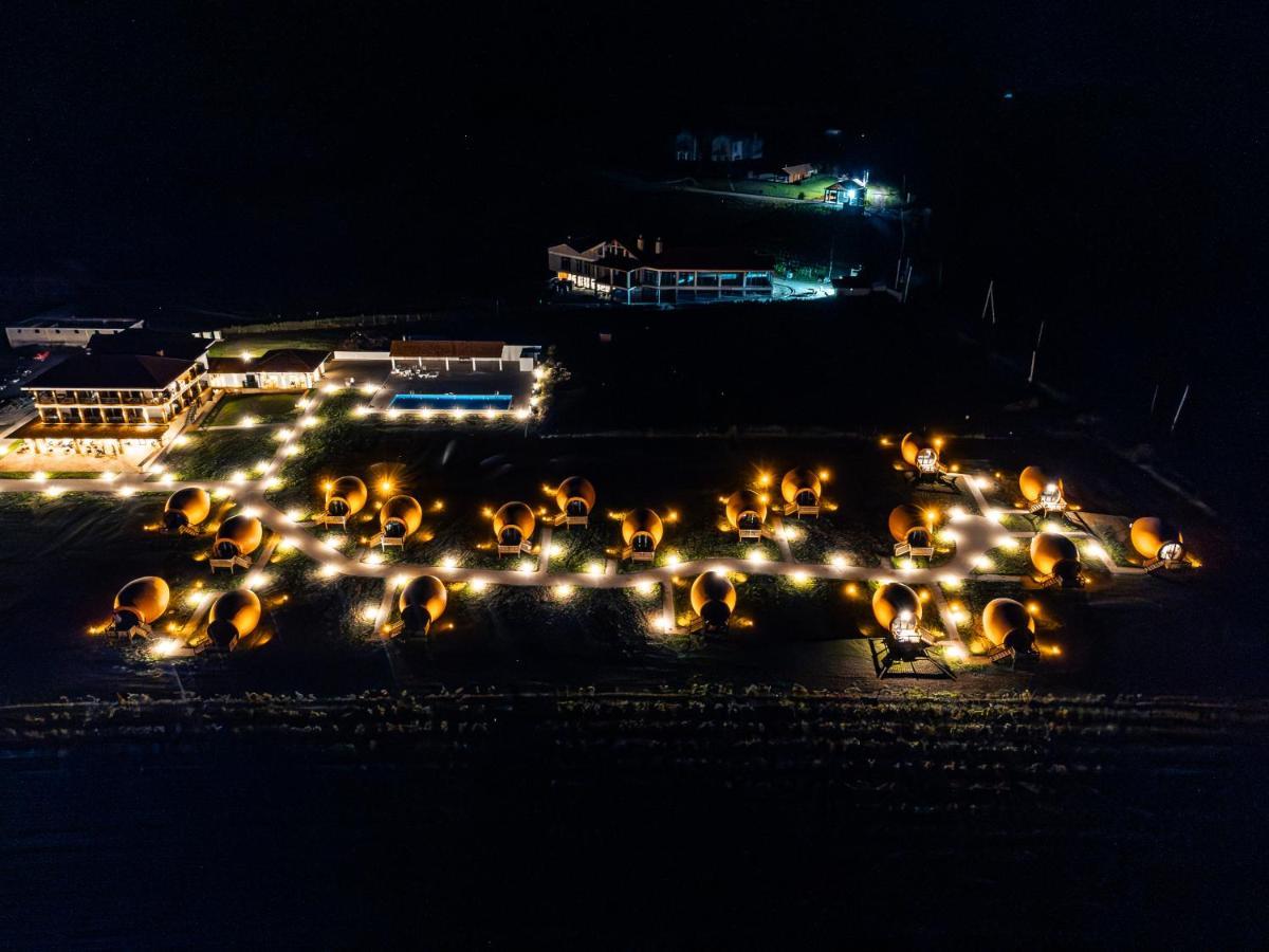 Hotel Qvevrebi Telavi Dış mekan fotoğraf