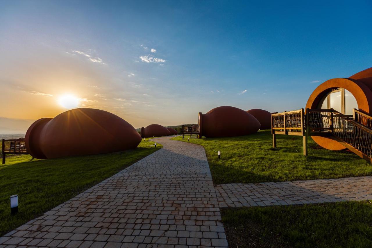 Hotel Qvevrebi Telavi Dış mekan fotoğraf