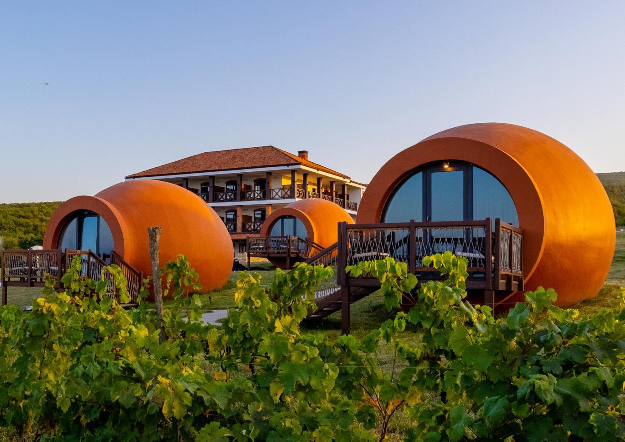 Hotel Qvevrebi Telavi Dış mekan fotoğraf
